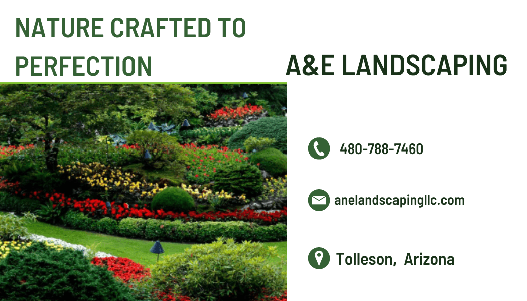 A & E Landscaping Banner